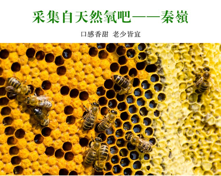 秦岭天然蜂蜜网络营销
