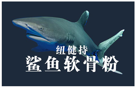 鲨鱼软骨粉网络营销