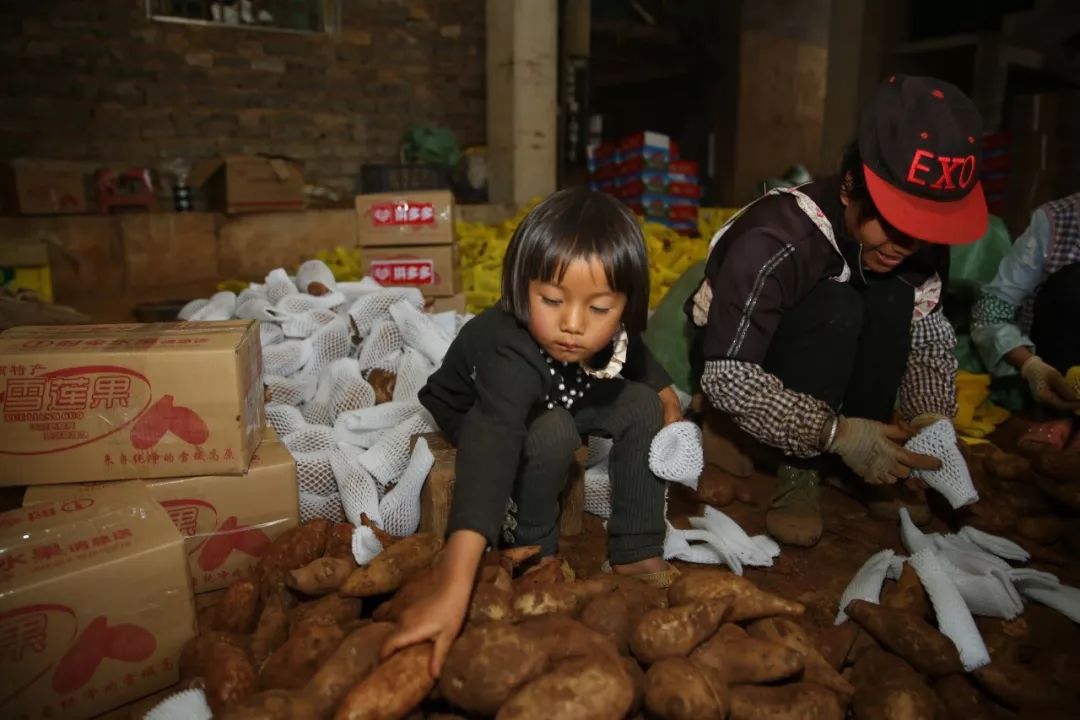 拼多多选择了农产品这一条鲜有人走的路