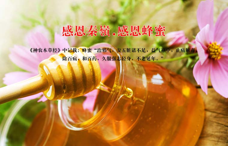 秦岭天然蜂蜜网络营销